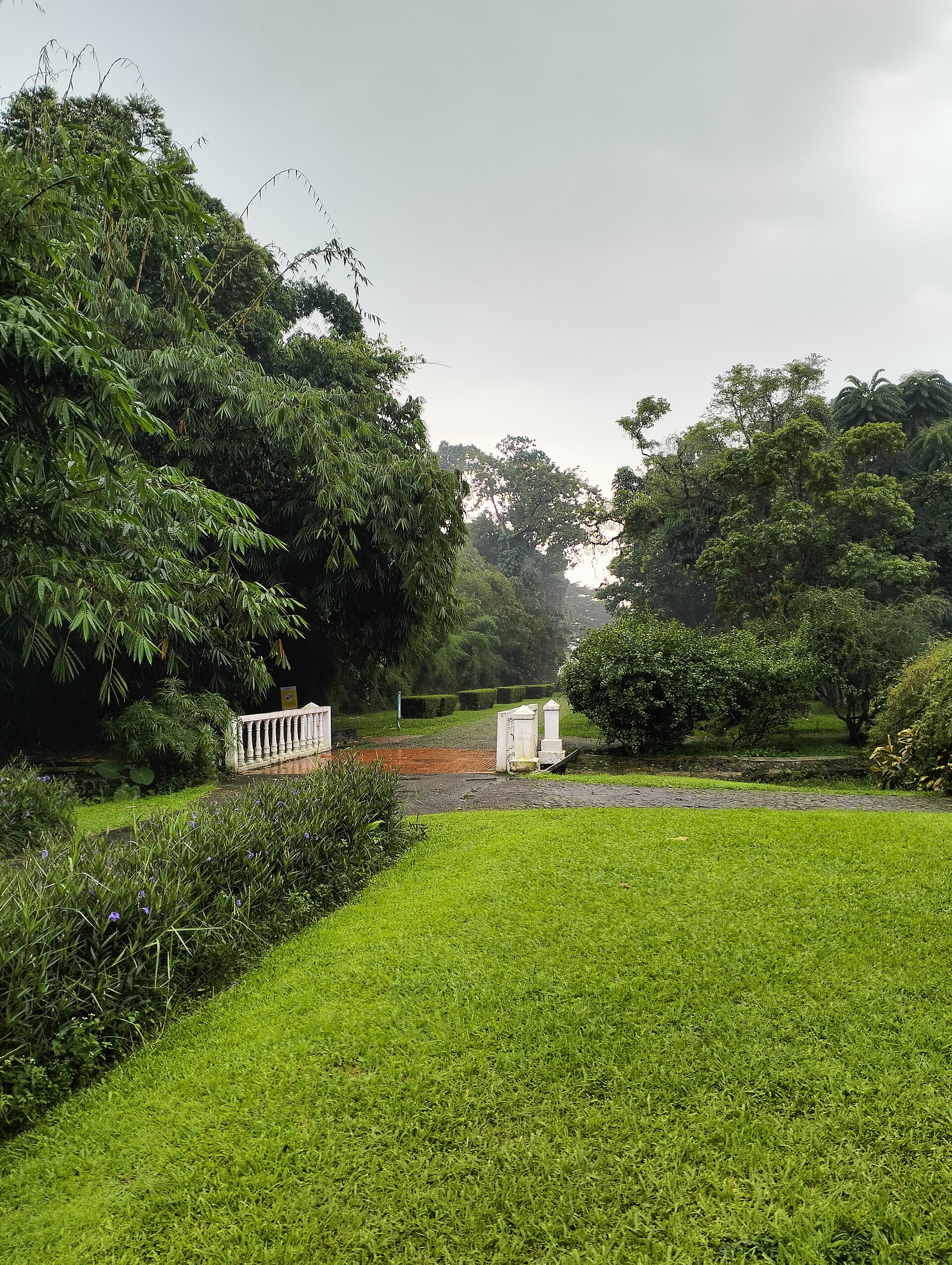 Suasana hijau kawasan Bogor